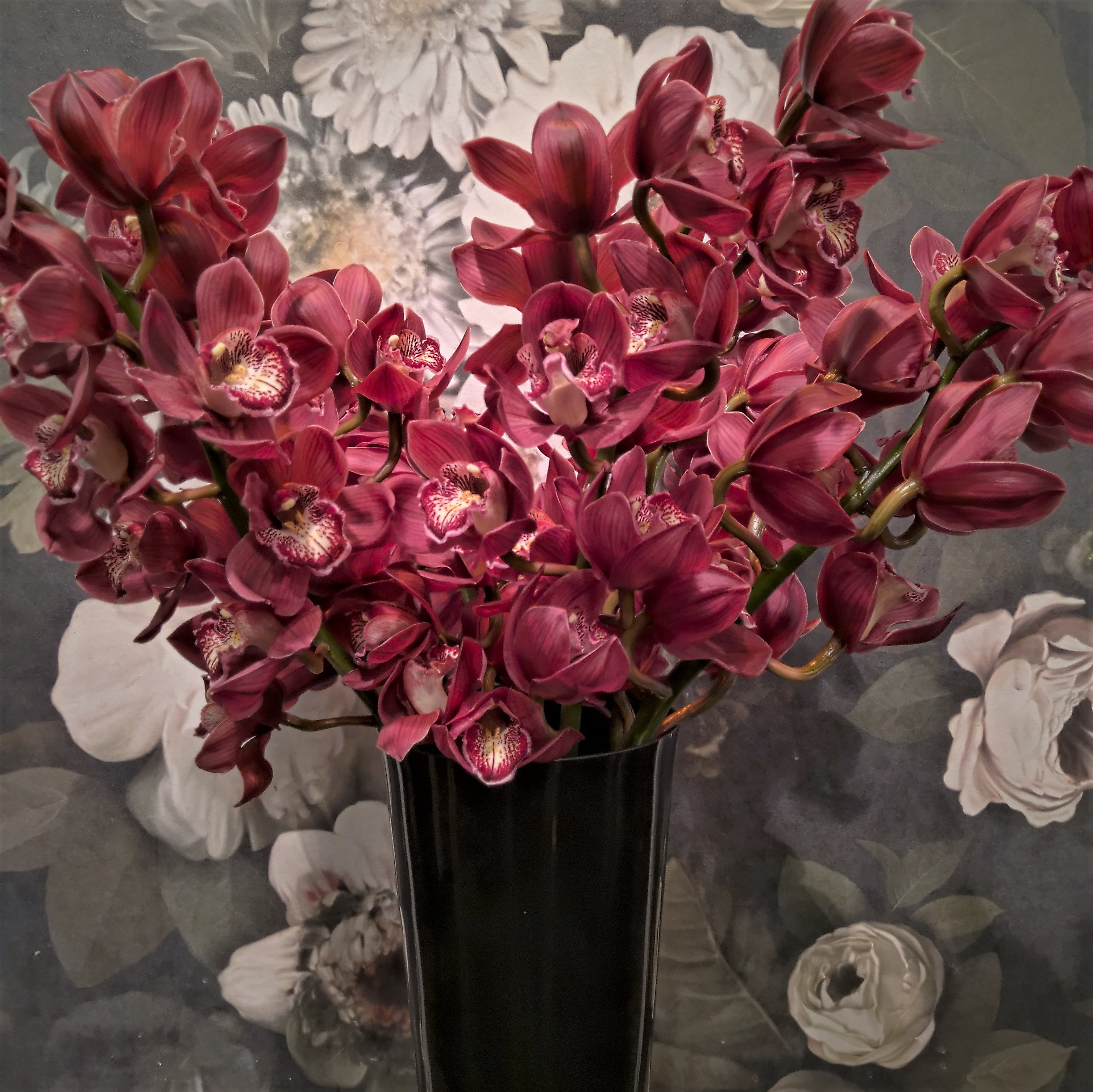 Orhidee ok.jpg (1.94 MB)